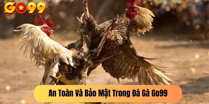 An Toàn Và Bảo Mật Trong Đá Gà Go99