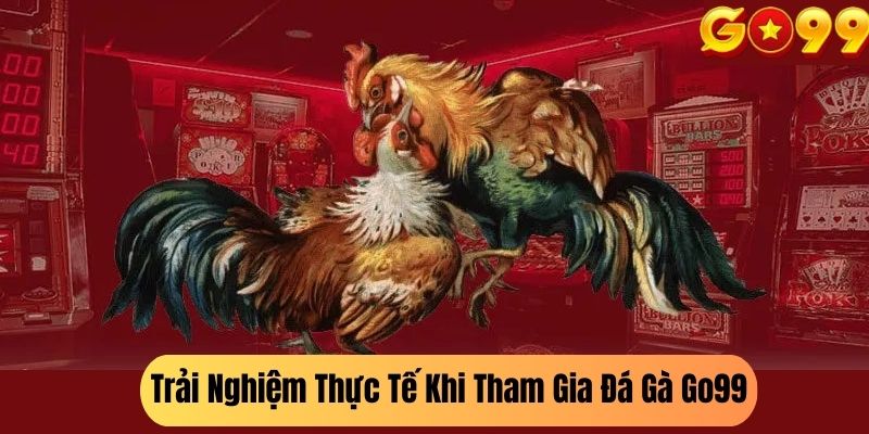 Trải Nghiệm Thực Tế Khi Tham Gia Đá Gà Go99